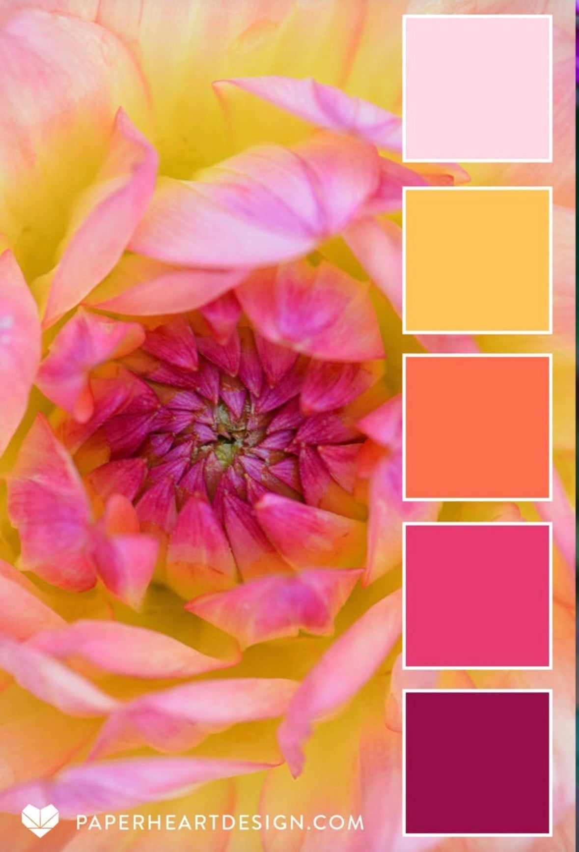 Pre-Orders: Flower Power - cotton warp